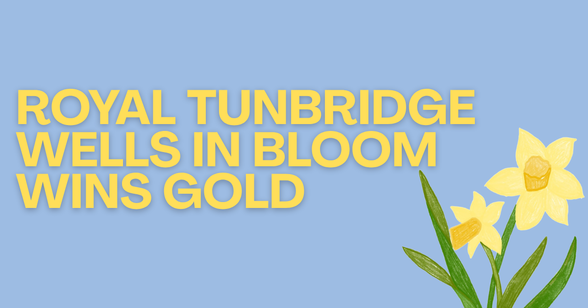 Royal Tunbridge Wells in Bloom wins gold illustration