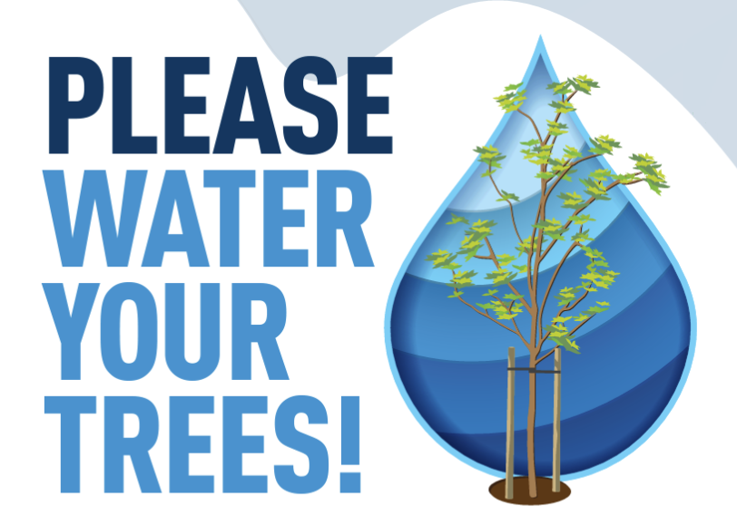 Please water your trees