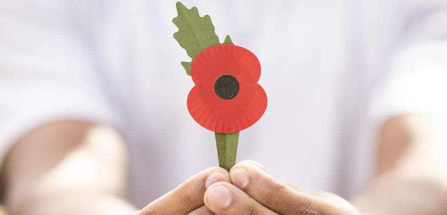 Photo of a hand holding a poppy