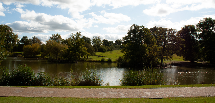 view on Dunorlan Park lake
