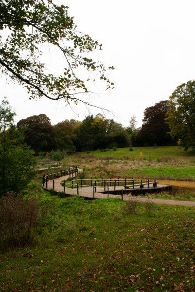 wetland path