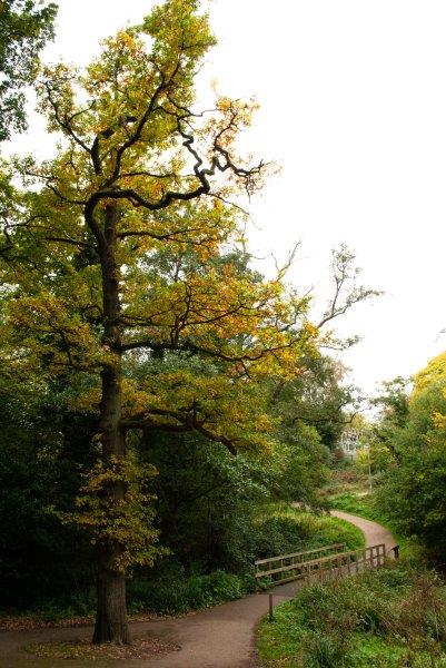 Folly Shaw bridge