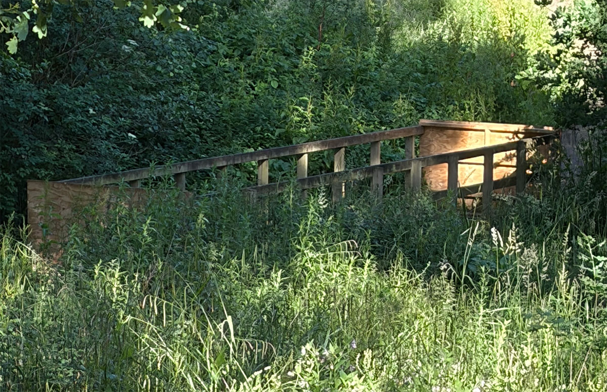 Beaver Bridge in Grosvenor and Hilbert Park