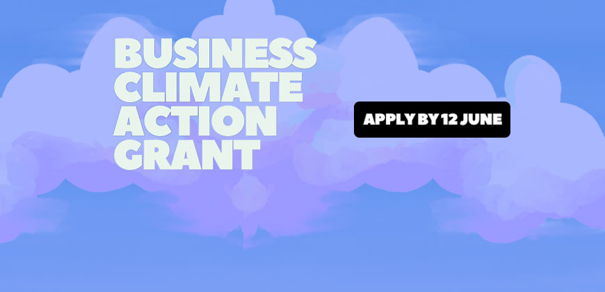 Business Climate Action Grant