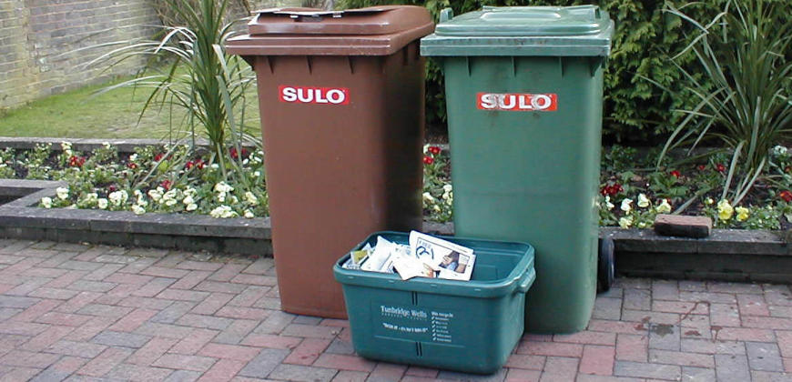 Photo of bins waiting for collection